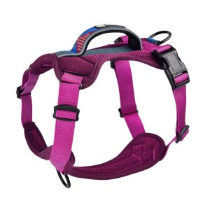 Y - образен нагръдник - Explorer